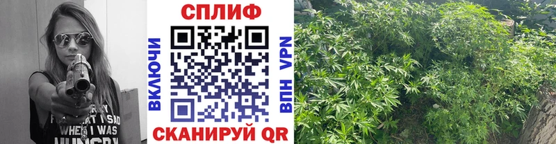 Каннабис тримм Нягань